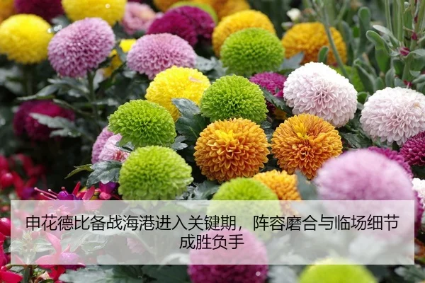 img_1783144522271_49_2_417.jpg